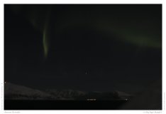 Aurora Borealis
