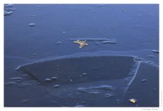 IMG_20130113_130810