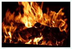 Dieses Bild wurde am Lagerfeuer in Termez aufgenommen