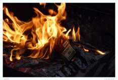 Dieses Bild wurde am Lagerfeuer in Termez aufgenommen