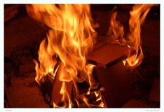 Feuer und Flammen. Die Flammen verzehren sich nach mehr