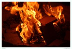 Feuer und Flammen. Die Flammen verzehren sich nach mehr
