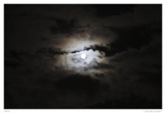 Mond