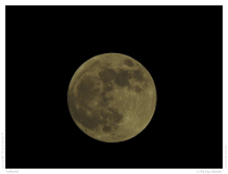 Vollmond