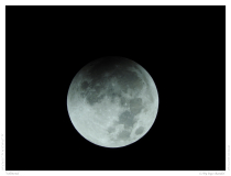 Vollmond