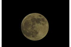 Vollmond