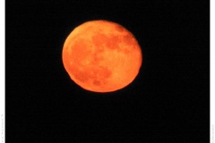 Blutmond