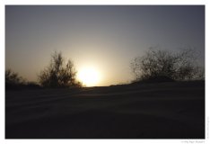IMG_20100816_184712