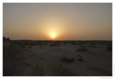 IMG_20100816_190409
