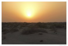 IMG_20100816_190437