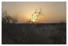 IMG_20100816_190652