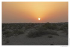 IMG_20100816_191212