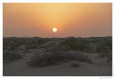 IMG_20100816_191239