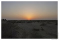 IMG_20100816_191421