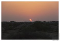 IMG_20100816_191742