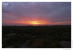 IMG_20100912_184745
