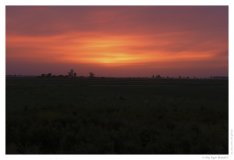 IMG_20100912_184809