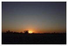 IMG_20100922_182103