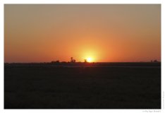 IMG_20100922_182319