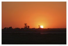 IMG_20100922_182442
