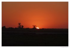 IMG_20100922_182632