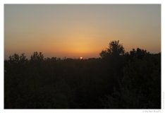 IMG_20101010_175729