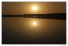 IMG_20101017_172532
