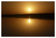 IMG_20101017_173329