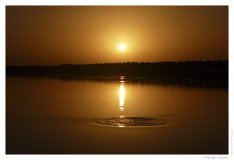 IMG_20101017_173414