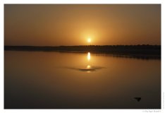 IMG_20101017_173703
