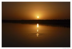 IMG_20101017_173726