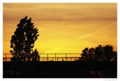 IMG_20110507_205543