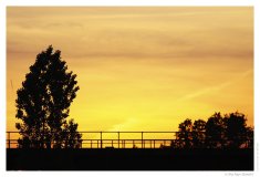 IMG_20110507_205640