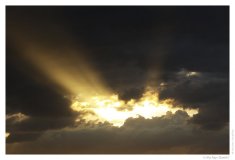 IMG_20110518_204603