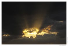 IMG_20110518_204806