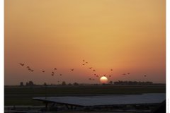 Sonnenuntergang
