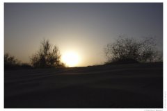 IMG_20100816_184712