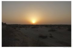 IMG_20100816_190409