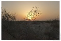 IMG_20100816_190652