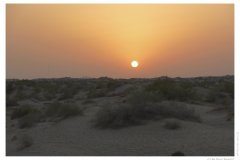 IMG_20100816_191212
