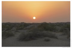 IMG_20100816_191239