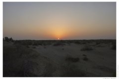 IMG_20100816_191421