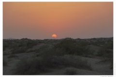 IMG_20100816_191710