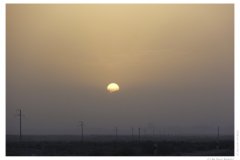 IMG_20100907_061832