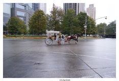 Kutsche at Central Park