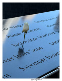 One World Trade Center