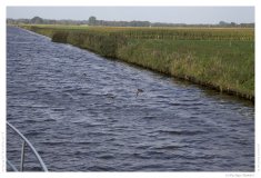 IMG_20140913_170928
