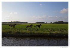 IMG_20140913_173932