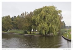 Impression from the Netherland