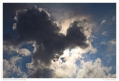 Impression from the Netherland